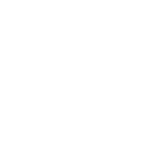 A S P L REAL ESTATE LLC logo