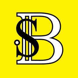 B S O Real Estate Management LLC S.o.c logo