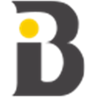 Banke International Properties LLC logo