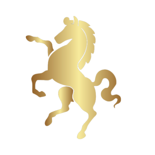 CHETAK REAL ESTATE LLC logo