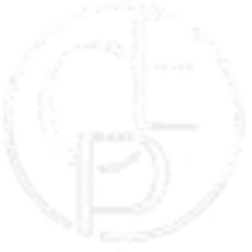 CROWD EMPIRE PROPERTIES LLC logo