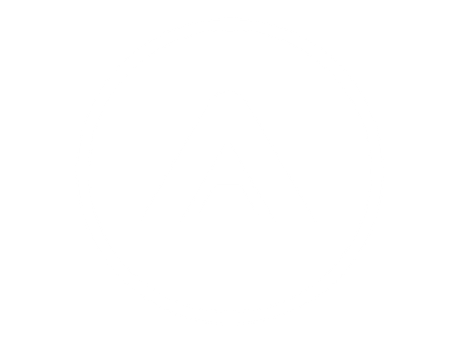 CV DOM REAL ESTATE LLC logo