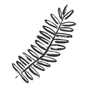 Equity Edge Real Estate LLC logo
