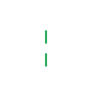 Lavinia Properties LLC logo