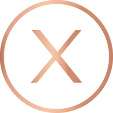 Luxuryx Agents Real Estate LLC logo
