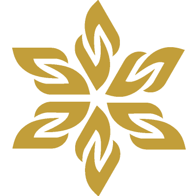 MONARCH VISION PROPERTIES LLC logo