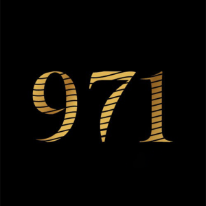 NINE HUNDRED SEVENTY ONE REAL ESTATE LLC logo