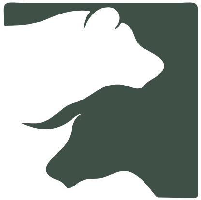 Original Bull And Bear Properties logo