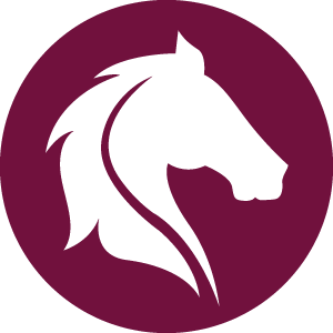 Q S A REAL ESTATE LLC logo