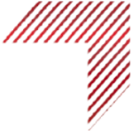 RENS PROPERTIES logo