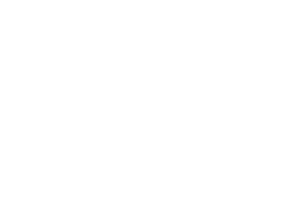 RISE Authentic Real Estate LLC logo