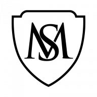 S MIRZA REAL ESTATE BROKERAGE logo