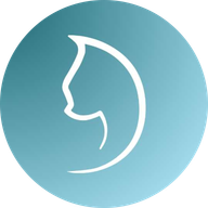 WISE CAT REAL ESTATE LLC logo